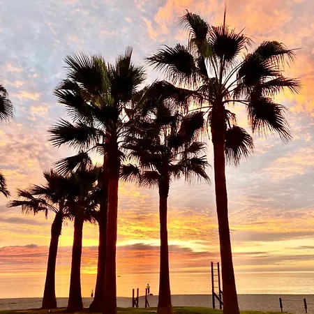 Primera Línea De Playa Y Céntrico Appartement