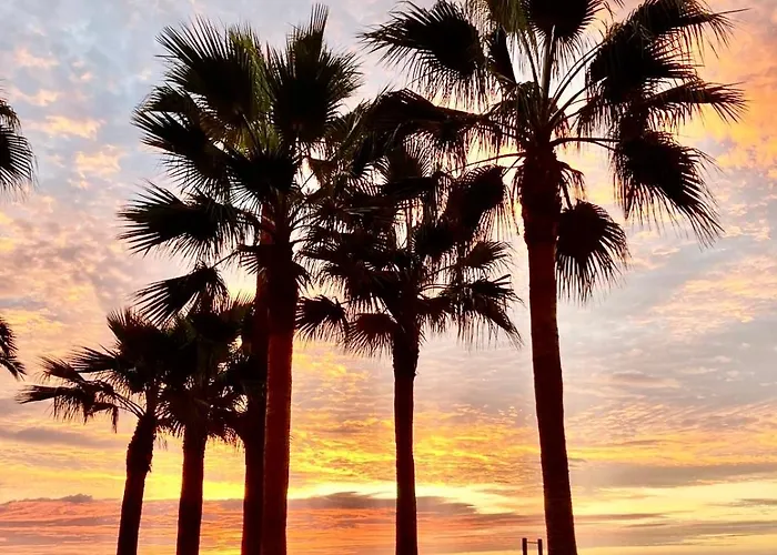 Primera Línea De Playa Y Céntrico Appartement